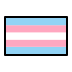 transgender flag